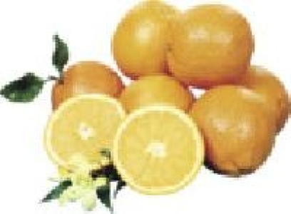 Orangen 1.99 €