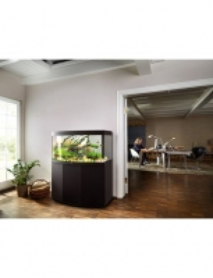 Aquarien-Set &raquo;Vision 260 LED + SBX Vision 260&laquo;, BxTxH: 121x46x144 cm,  629.99&nbsp;&euro;