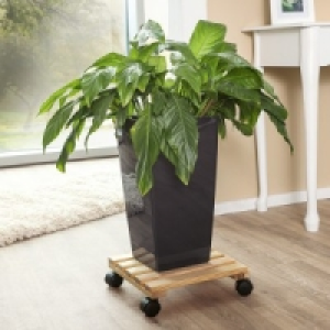 Pflanzenroller 4.99 €