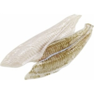 MSC Schollenfilet 14.99 €