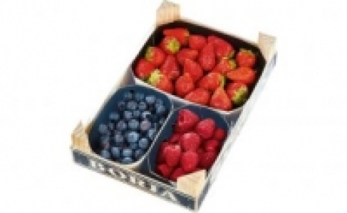 Beeren-Mix 5.99&nbsp;&euro;