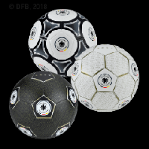 DFB-Fußball 9.99 €
