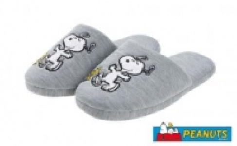 Damen Hausschuhe 5.99 €