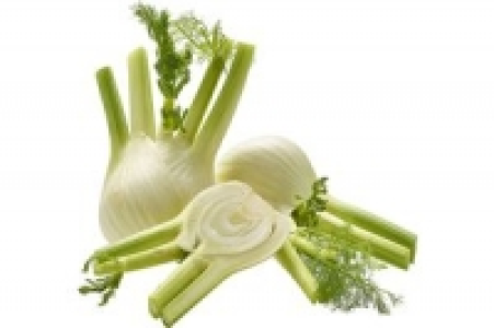 Fenchel 3.99 €