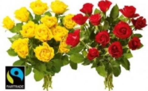 Edelrosen 2.99&nbsp;&euro;