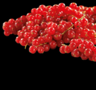 Rote Johannisbeeren 1.79 €