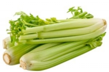 Stangensellerie 1.99 €