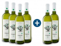 Lidl  4+2 x 0,75-l-Flasche Weinpaket Visigodo Verdejo, Weißwein