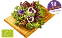 Netto  Bio-Salat Sala Fleur