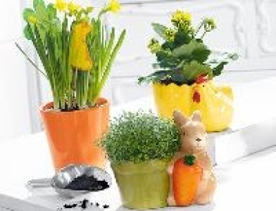 Gardenline Bepflanzte Osterkeramik