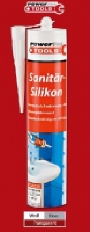 Sanitär-Silikon 1.59 €