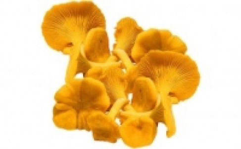 Pfifferlinge 4.99&nbsp;&euro;