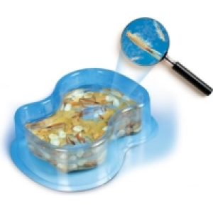 Galileo Experimentierkästen 7.99 €