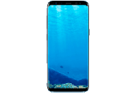MediaMarkt Samsung SAMSUNG Galaxy S8 64 GB Coral Blue