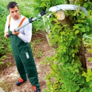 Teleskop-Baumsäge 29.99 €