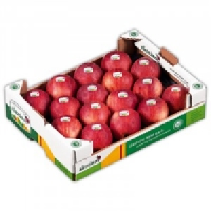 Südtiroler Äpfel 3.99 €