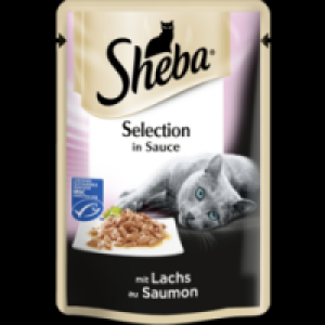 Selection in Sauce mit Lachs 0.35 €