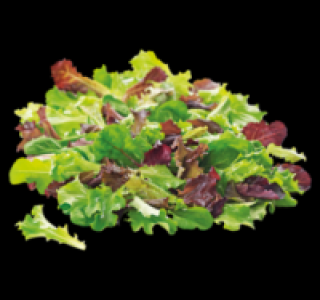 Pflücksalat 0.85 €
