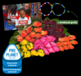 Wunderschöne Fairtrade-Rosen 2.99 €