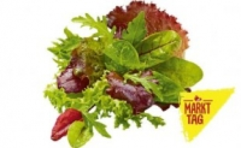 Pflücksalat 0.88 €