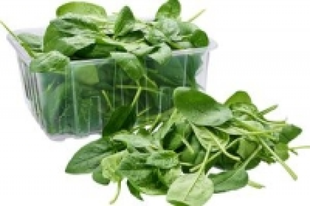 Babyspinat 1.99 €
