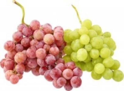 Trauben weiß oder rot 2.79 €