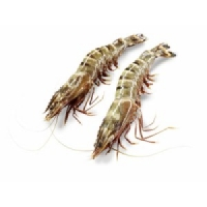 Black Tiger Garnelen 39.99 €