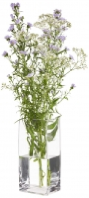 Vase 3.99 €