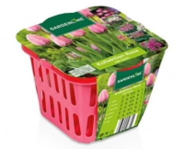 GARDENLINE®Blumenzwiebel-Mischung 3.99 €