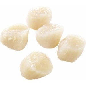 MSC Kammmuschelfleisch 25.99 €