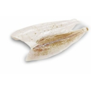 MSC Schollenfilet 15.99 €
