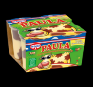 DR. OETKER Paula Pudding 1.11 €