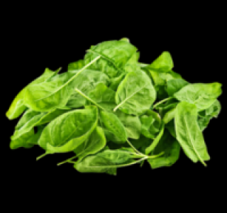 Blattspinat 1.99 €
