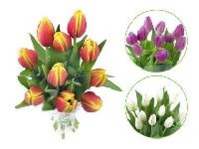 Tulpen 1.99 €