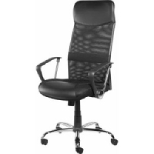 Chefsessel EC 13&sup1;) 49.99&nbsp;&euro;