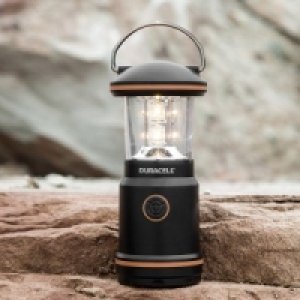 Mini-Laterne 9.99 €