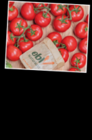 Strauchtomaten 3.97 €
