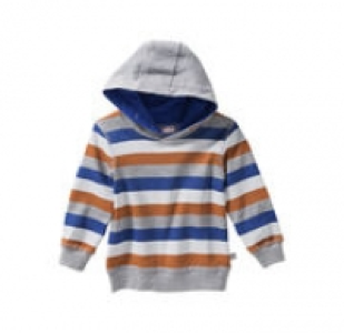 Baby-Jungen-Sweatshirt mit Kapuze 5.59 €