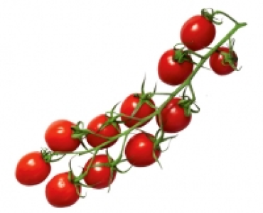 Mini-Romarispentomaten 1.19&nbsp;&euro;