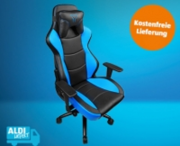 Gaming Stuhl MEDION® ERAZER® X89018 229.00 €