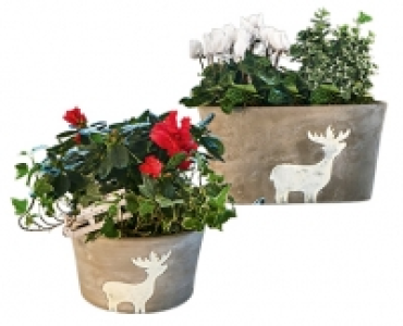 GARDENLINE®Winter-Pflanzschale