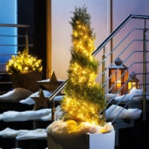 LED-Lichterschweif 9.99 €