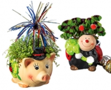 GARDENLINE®Glücksbringer 2.59 €