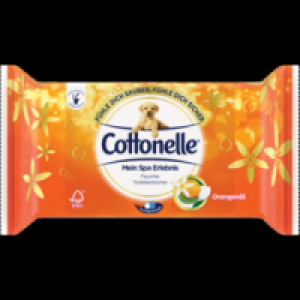 Mein Spa Erlebnis feuchte Toilettentücher 1.11 €