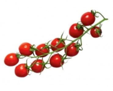 Mini-Romarispentomaten 1.59&nbsp;&euro;