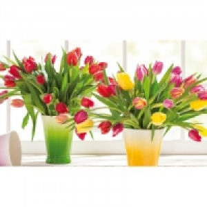 Tulpenstrau&szlig; 1.99&nbsp;&euro;