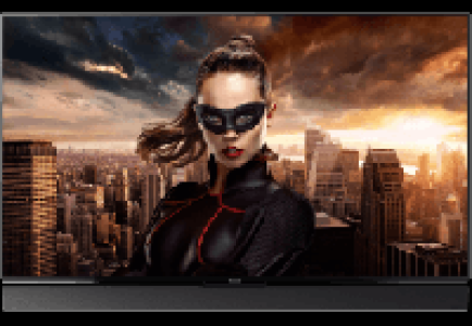 PANASONIC TX-65FZW954