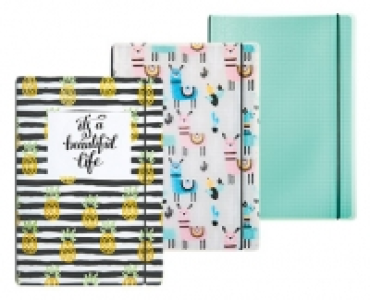 Schreibhefte im Kunststoffeinband 2.49&nbsp;&euro;