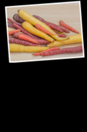 Bunte Karotten 1.97 €