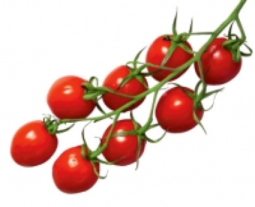 Mini-Romarispentomaten 1.66&nbsp;&euro;